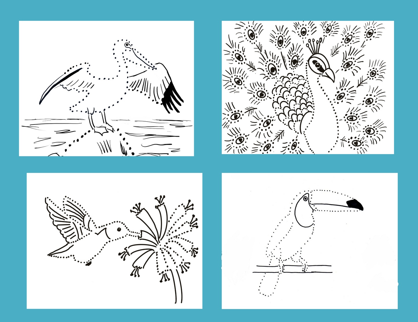 Birds Dot Drawings Digital Pack