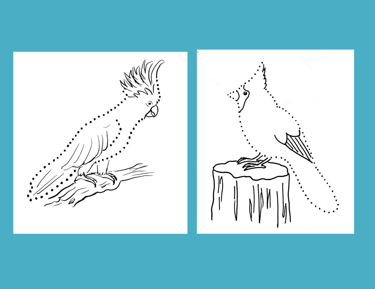 Birds Dot Drawings Digital Pack
