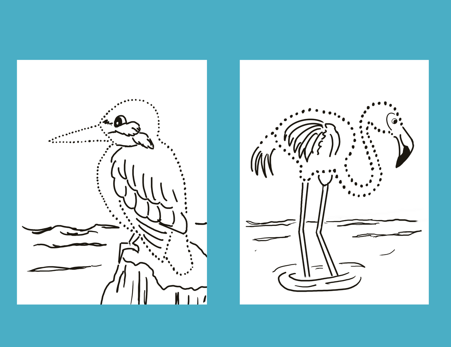 Birds Dot Drawings Digital Pack