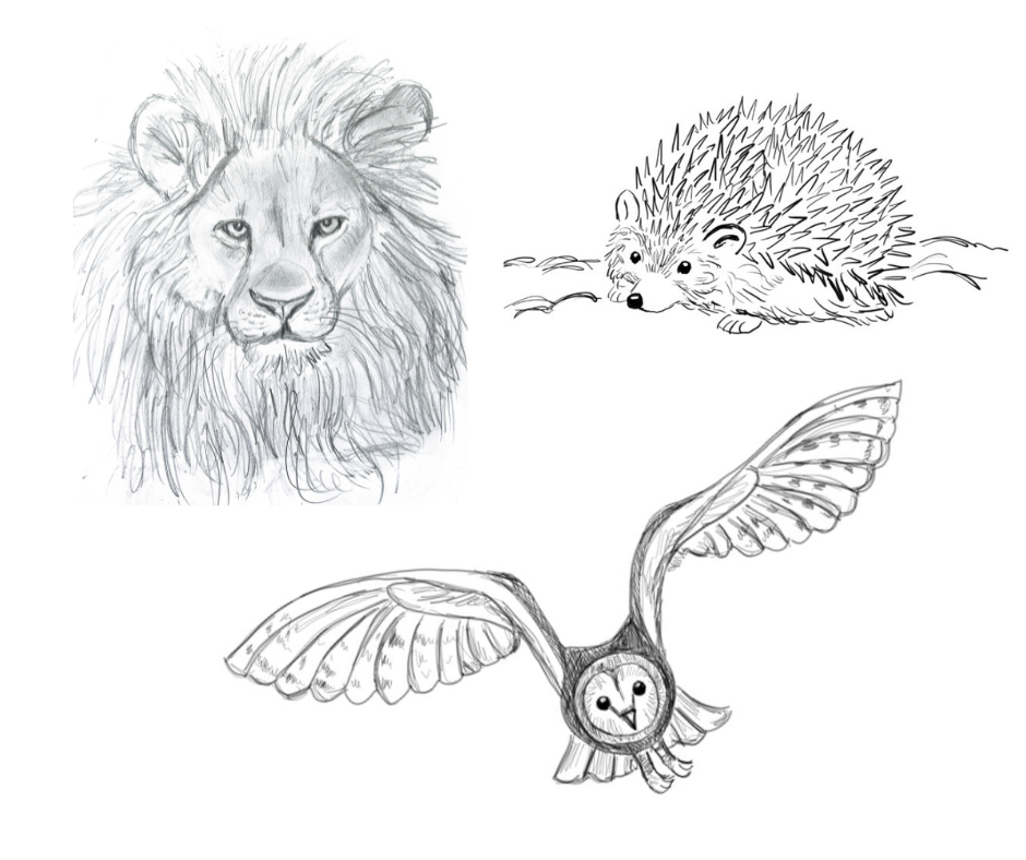 Let's Draw!