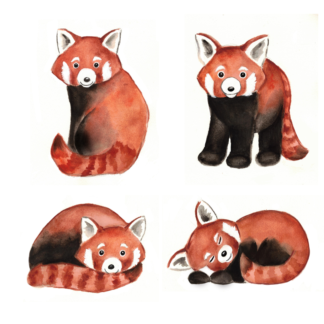 Red Panda Wooden Cupcake Toppers / Cake Decorations - Set of 8
