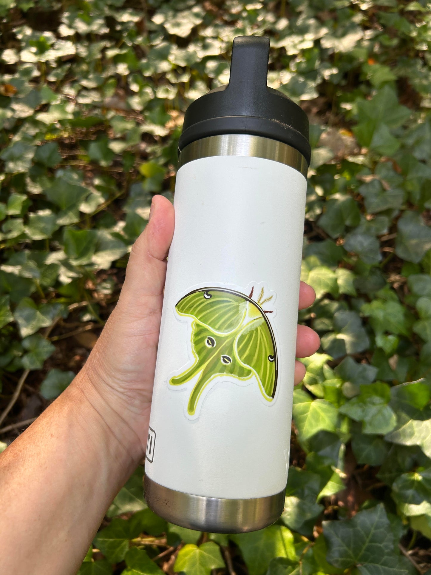 Luna Moth Sticker