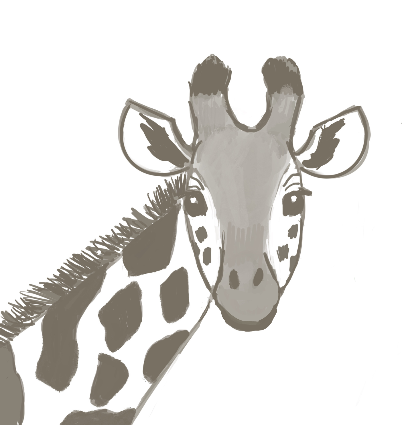 Drawing Instruction