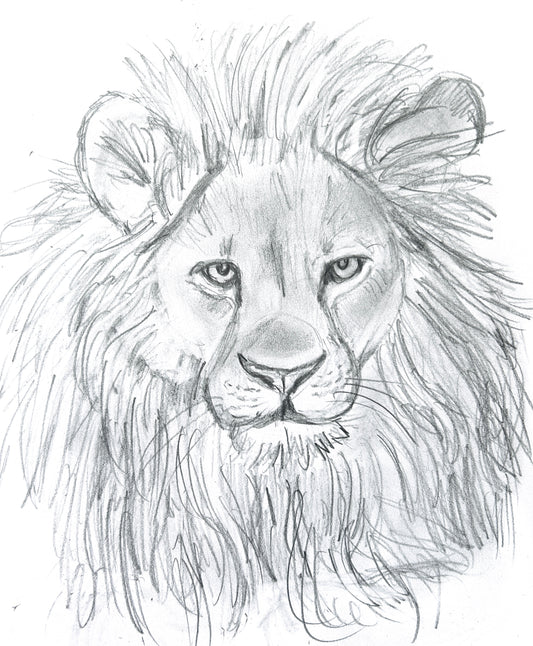 WEEK OF 2/03 - Draw a Lion!