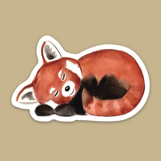 Red Panda Sticker